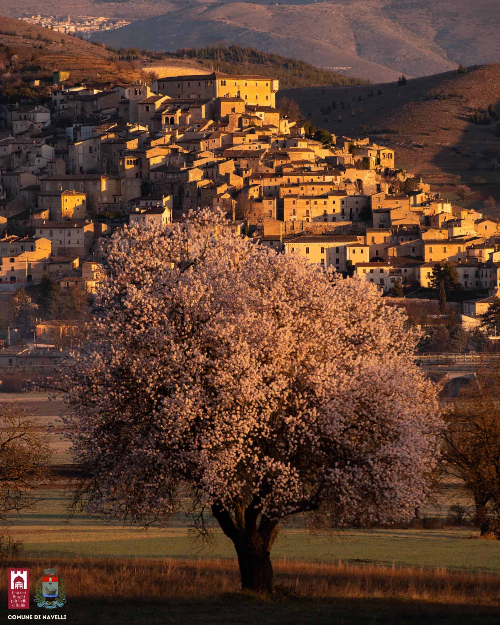 Navelli panorama con mandorlo