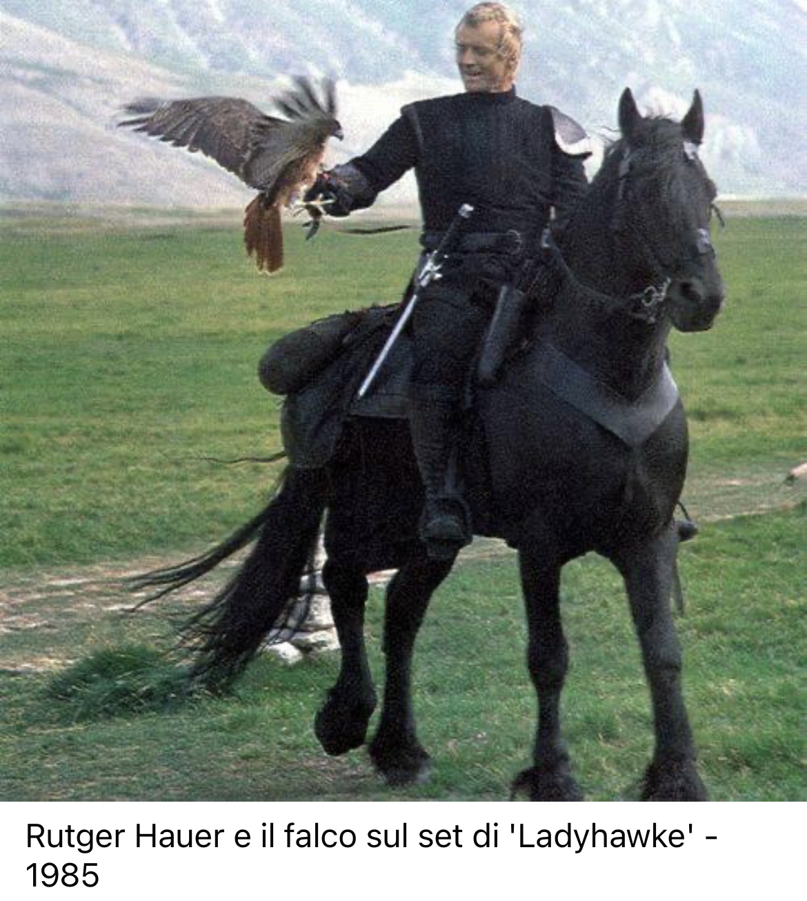 Rutger Hauer e il falco sul set di Ladyhawke - 1985